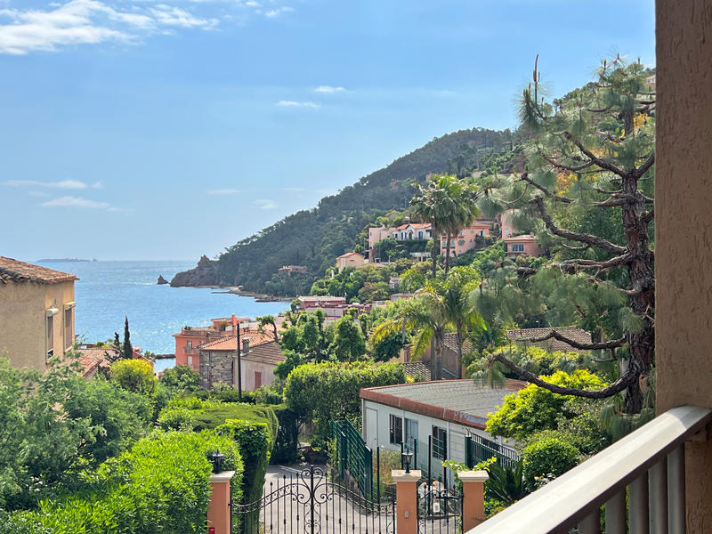 Appartement - 38 m² - 1 pièce