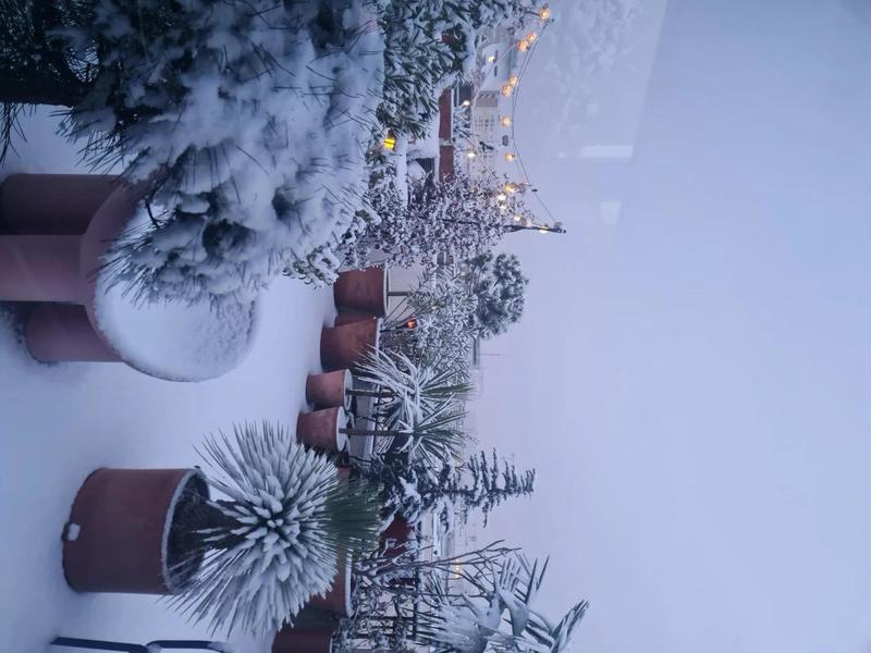 Appartement - 110 m² - 5 pièces