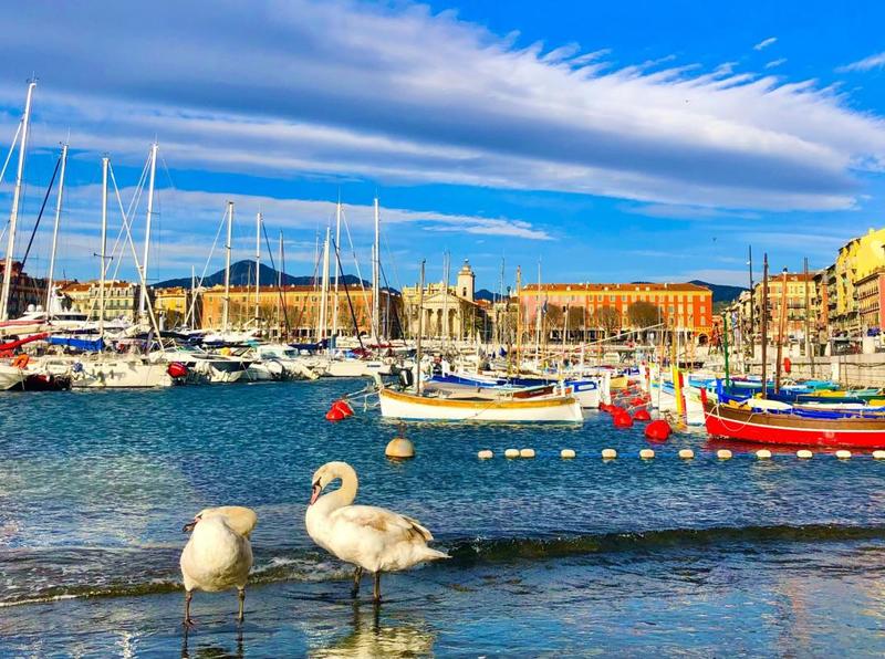 Studio - 22 m² - 1 pièce