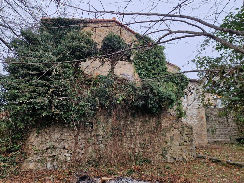 Maison en pierre - 120 m² - 2 pièces