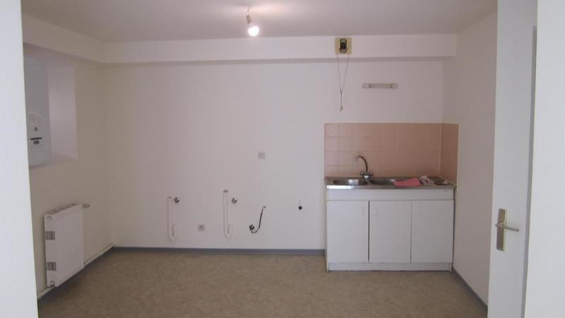 Appartement ancien - 44 m² - 1 pièce