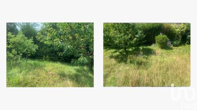 Maison - 224 m² - 8 pièces