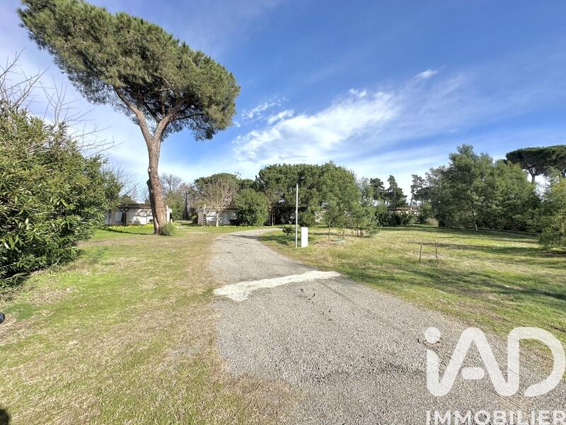 Appartement - 31 m² - 2 pièces