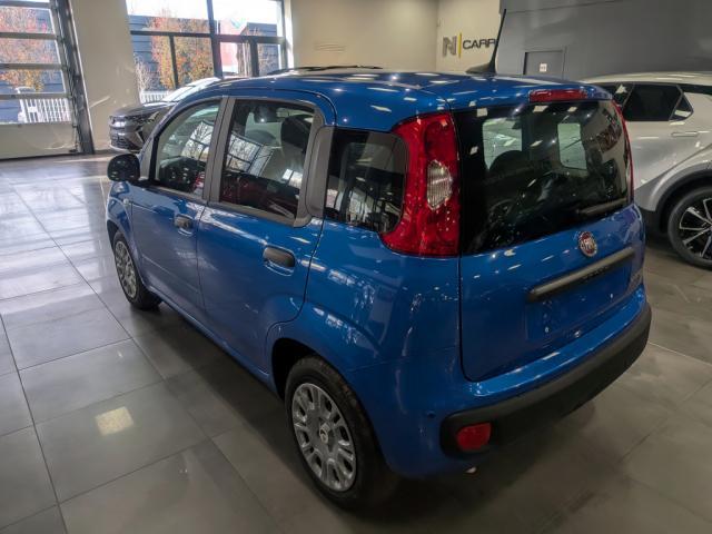 Fiat Panda 1.0 70 ch Hybrid Bsg s/S City