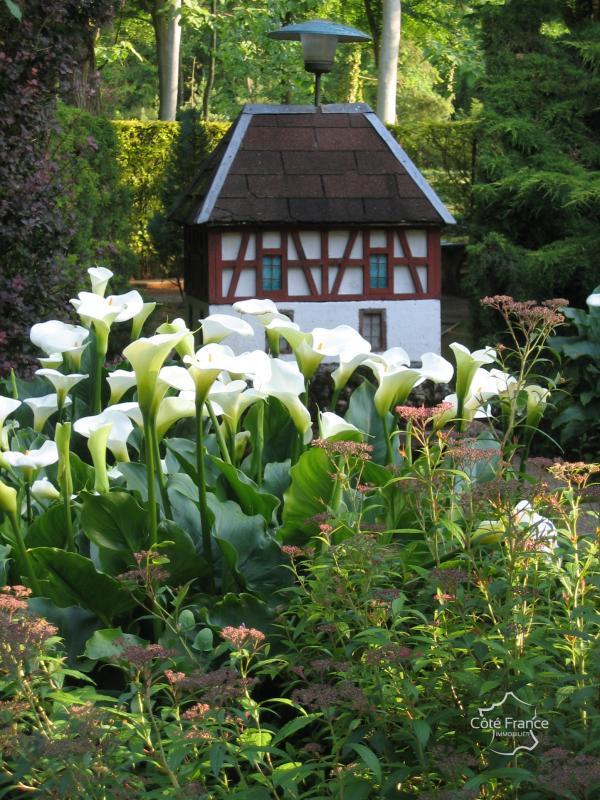 Local commercial - 739 m²