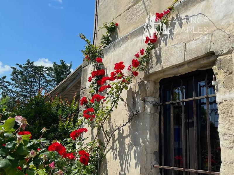 Mas - 309 m² - 12 pièces