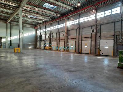 Entrepôt - 6 689 m²