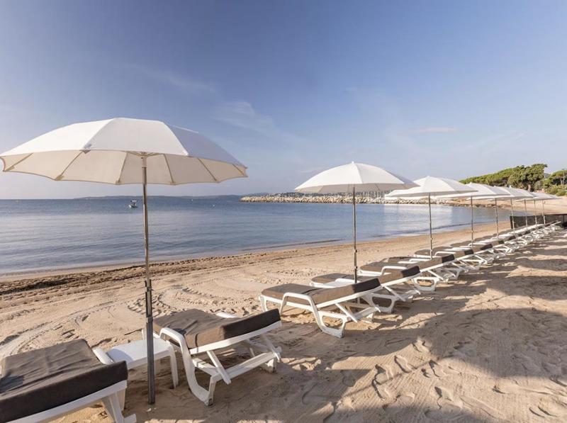 Studio - 24 m² - 1 pièce