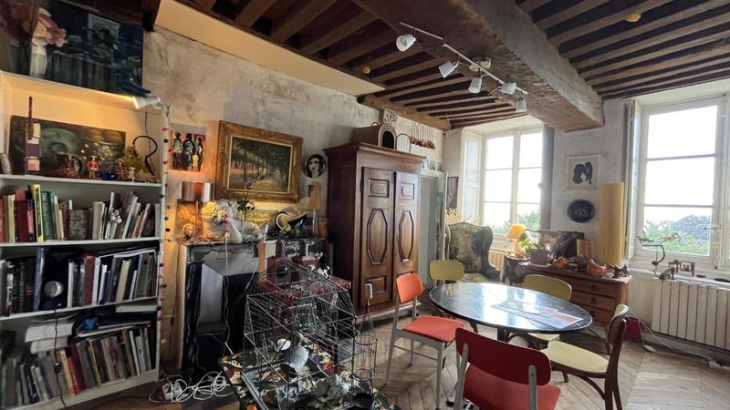 Hôtel particulier - 350 m² - 13 pièces