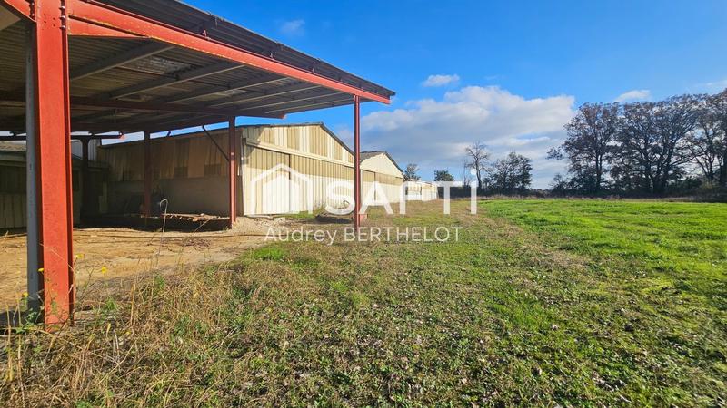 Maison - 380 m² - 15 pièces