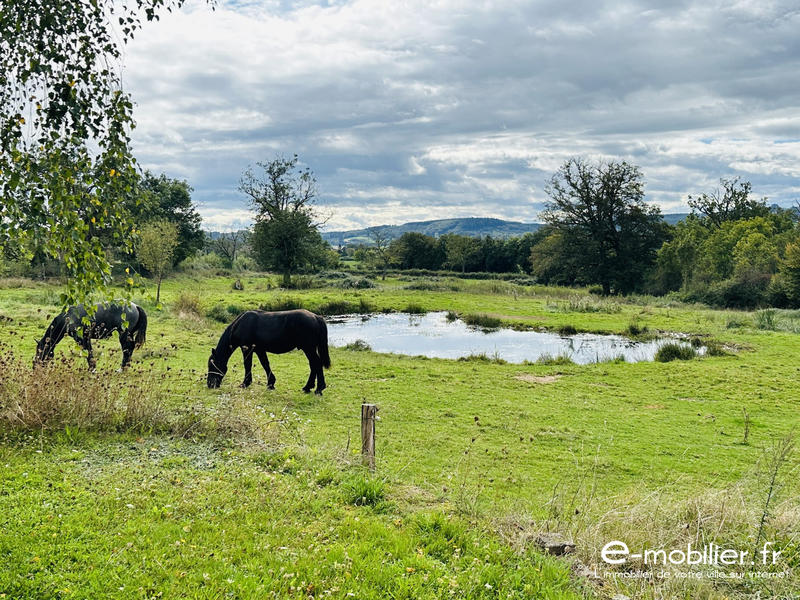 Maison ancienne - 190 m² - 6 pièces