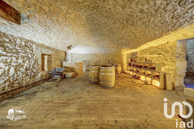 Maison - 365 m² - 10 pièces