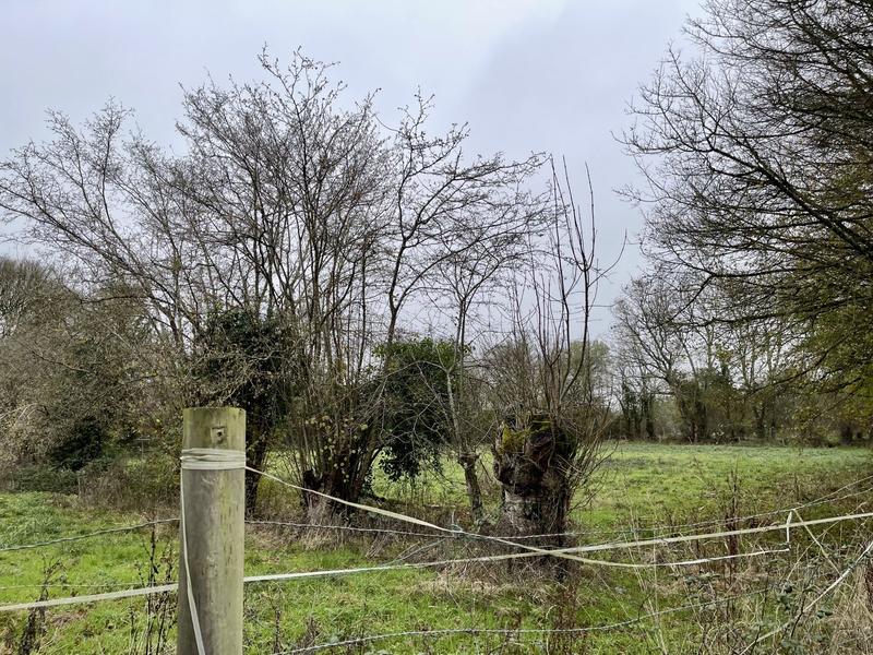 Maison traditionnelle - 165 m² - 8 pièces