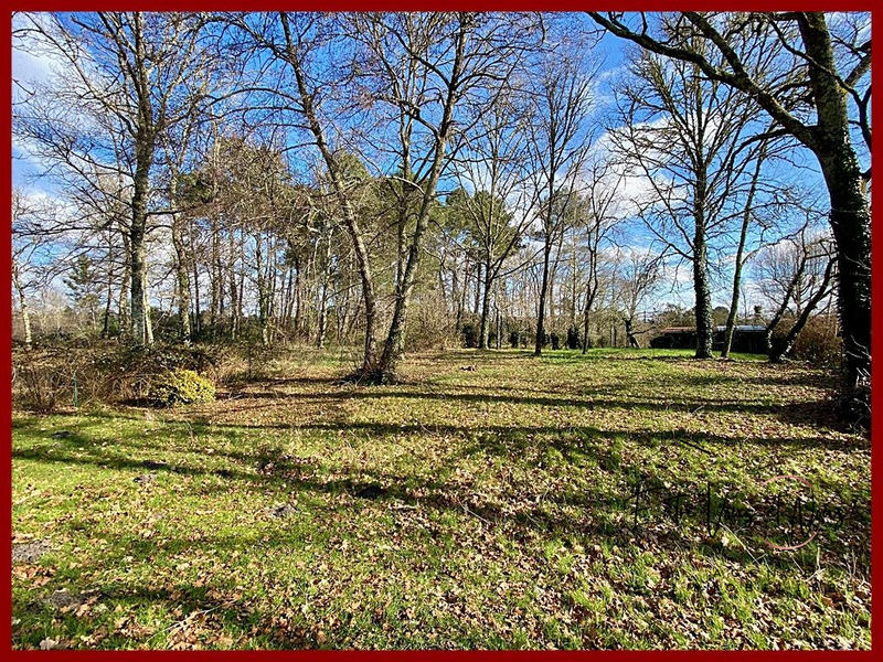 Maison ancienne - 128 m² - 6 pièces