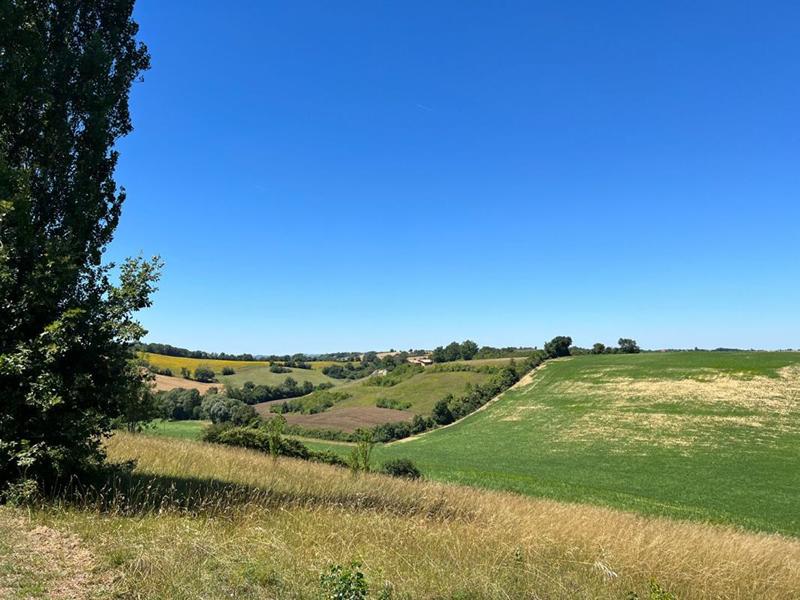 Maison - 250 m² - 5 pièces