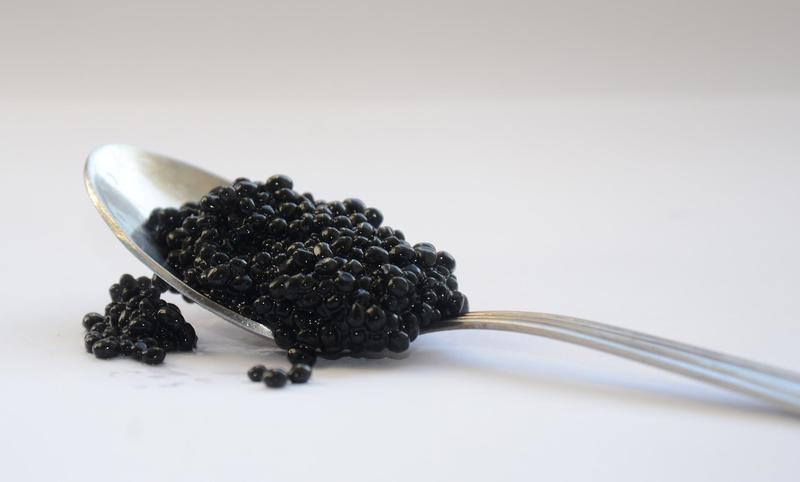 Accord Vin et Caviar : l'Art du Goût