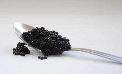 Accord Vin et Caviar : l'Art du Goût
