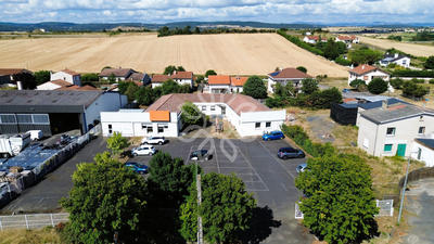 Bureau - 250 m² - 7 pièces