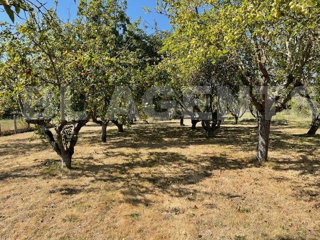 Maison traditionnelle - 95 m² - 4 pièces