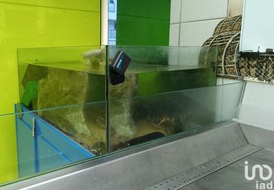 Local commercial - 65 m²