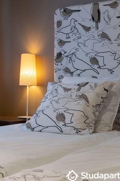 Appartement - 20 m² - 1 pièce