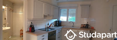 Maison - 50 m² - 1 pièce