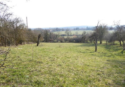 Terrain - 2 328 m²
