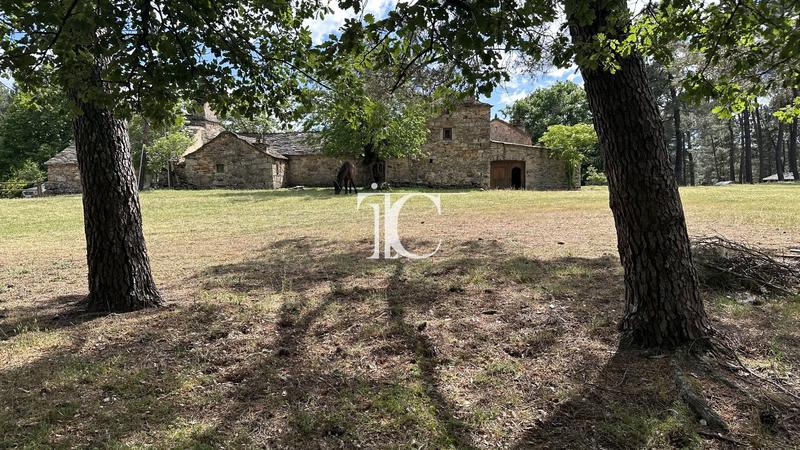 Propriété - 270 m² - 13 pièces