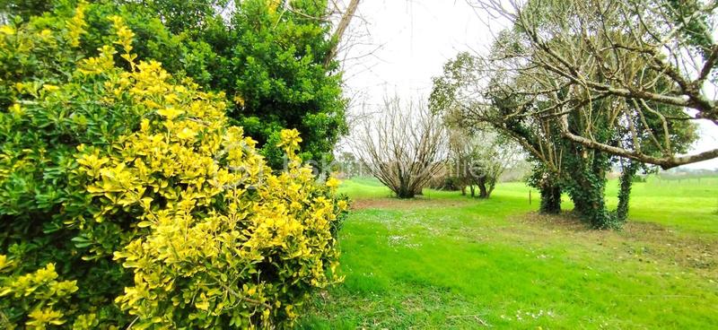 Corps de ferme - 122 m² - 4 pièces