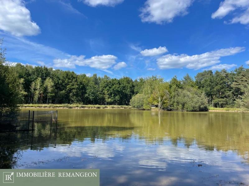 Propriété - 207 m² - 8 pièces