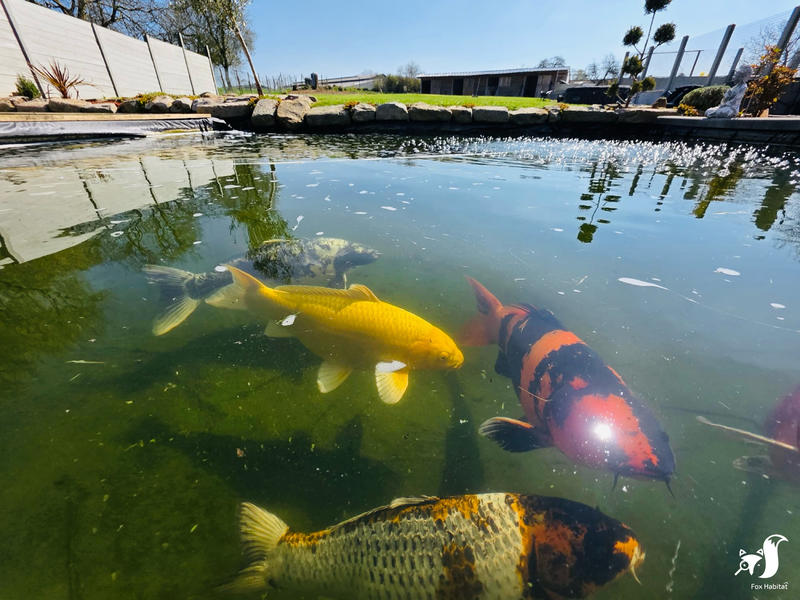 Maison - 300 m² - 6 pièces