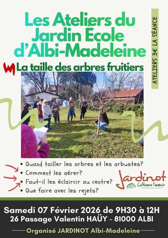 Animation – Taille des arbres et arbustes : les bons gestes au bon momen