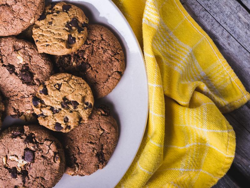 Ciné Goûter à Terres d'Oiseaux "Flow"