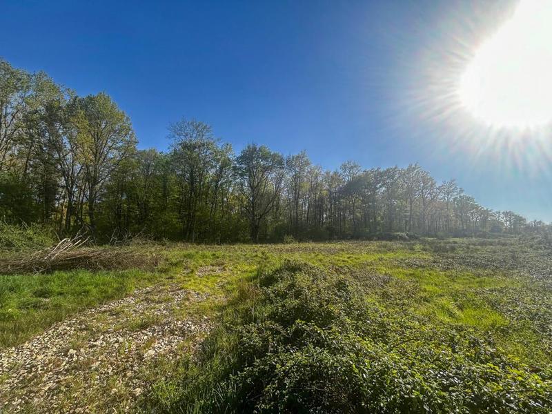 Terrain constructible - 6 804 m²