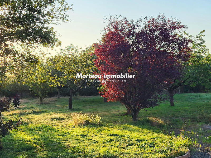 Maison - 230 m² - 10 pièces