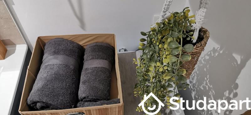 Appartement - 37 m² - 2 pièces