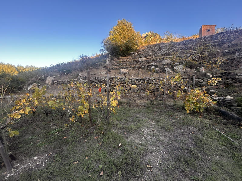 Terrain agricole - 15 m²