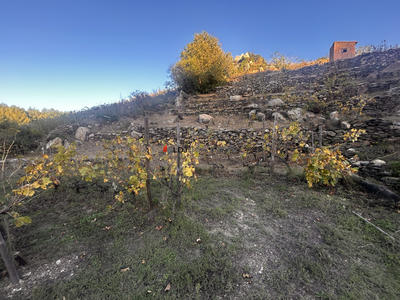 Terrain agricole - 15 m²