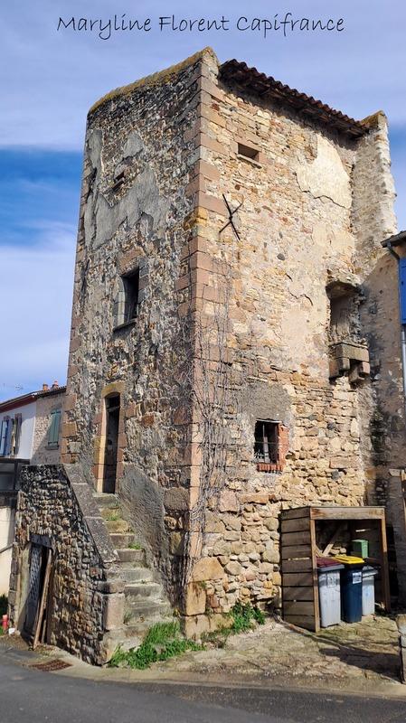 Maison en pierre - 175 m² - 10 pièces