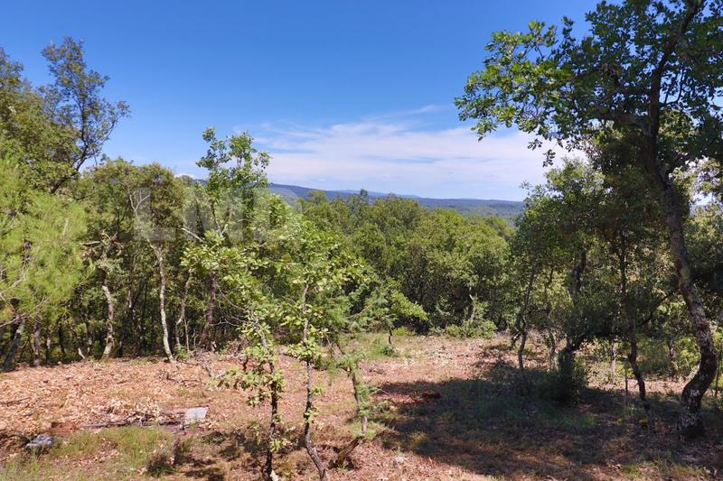 Terrain - 34 000 m²