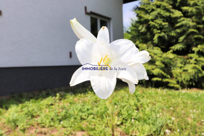 Maison - 186 m² - 5 pièces