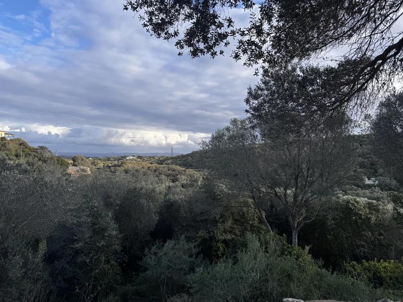 Maison - 274 m² - 10 pièces