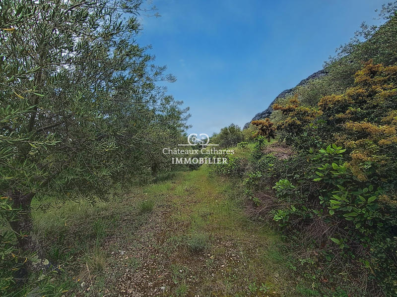 Terrain agricole - 51 314 m²