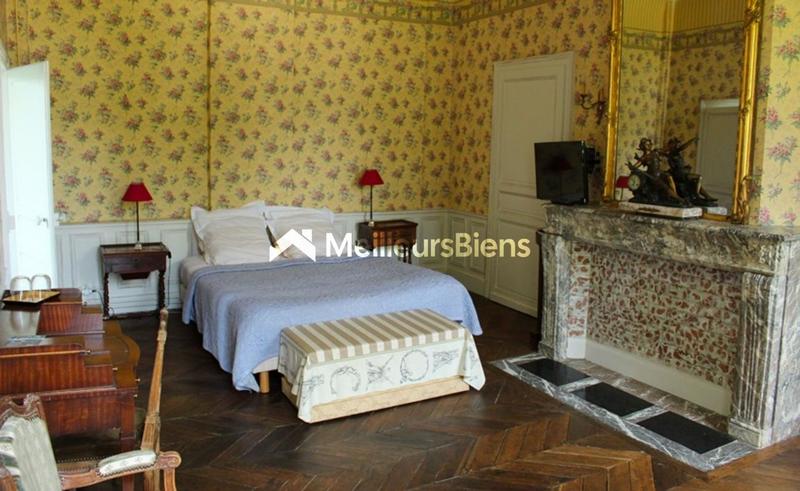 Château - 1 250 m² - 30 pièces