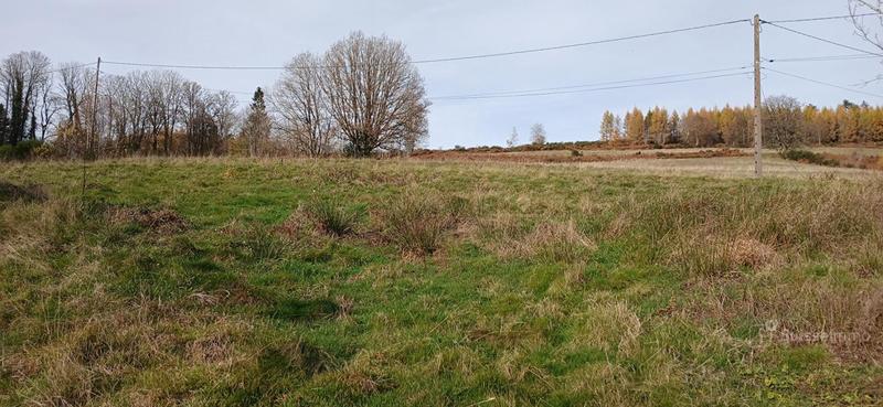 Maison en pierre - 117 m² - 6 pièces