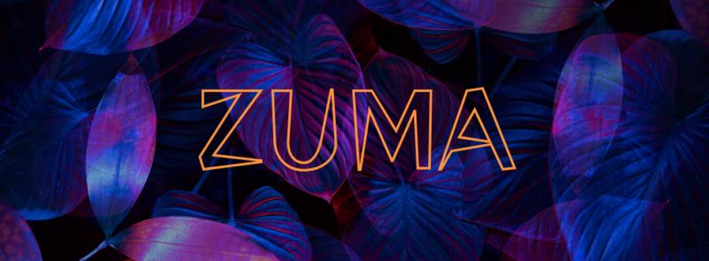 Soiree Electro a la Rosee du Matin