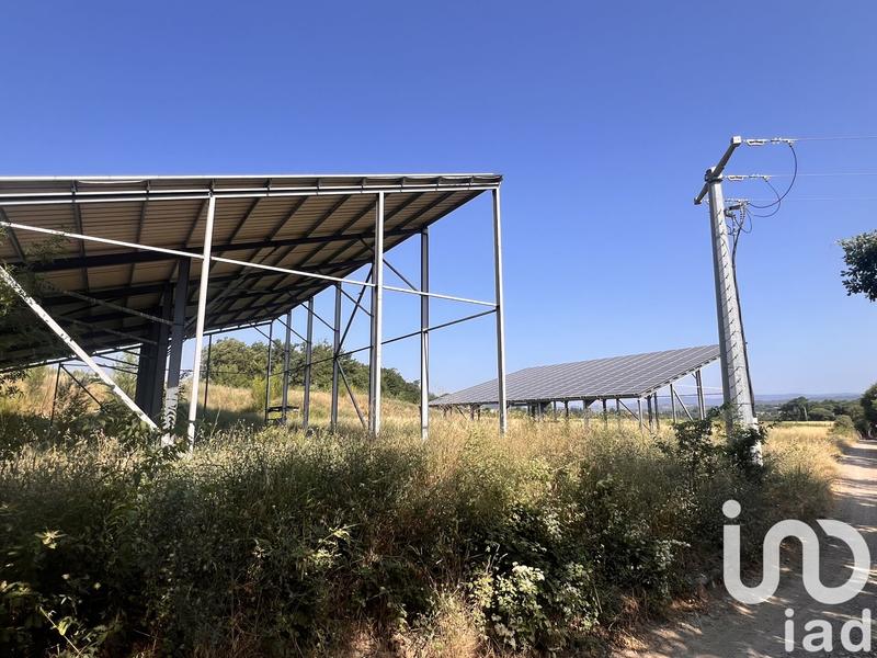 Terrain agricole - 13 006 m²