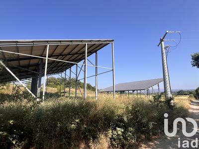 Terrain agricole - 13 006 m²