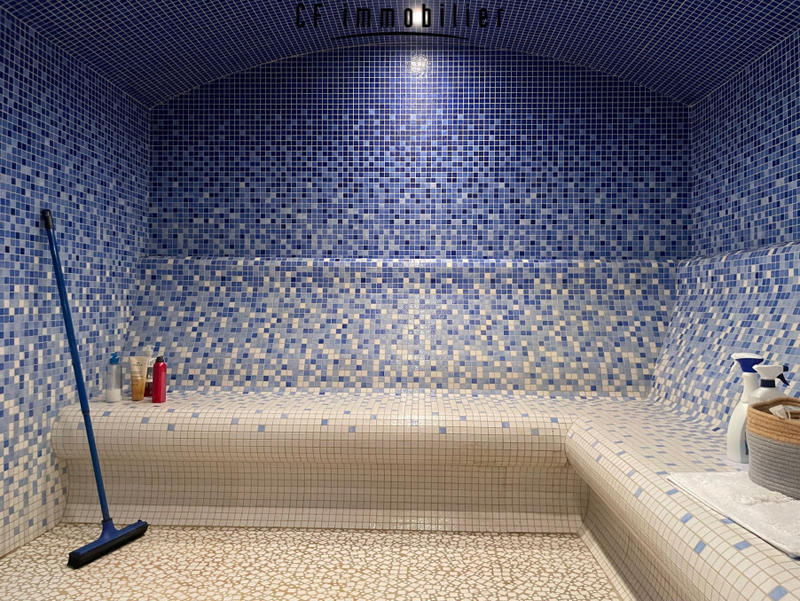 Maison - 455 m² - 9 pièces