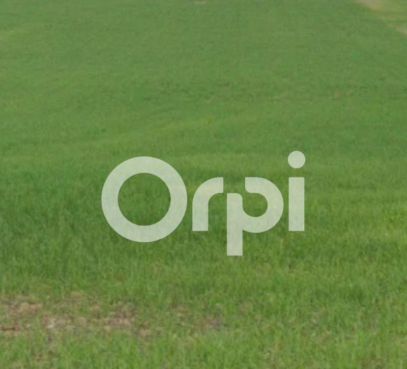 Terrain constructible - 1 711 m²